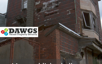 Understanding Blight Violation Tickets in Detroit: A Guide for Receivers