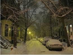 Secure Your Philadelphia Vacant Property This Winter with DAWGS